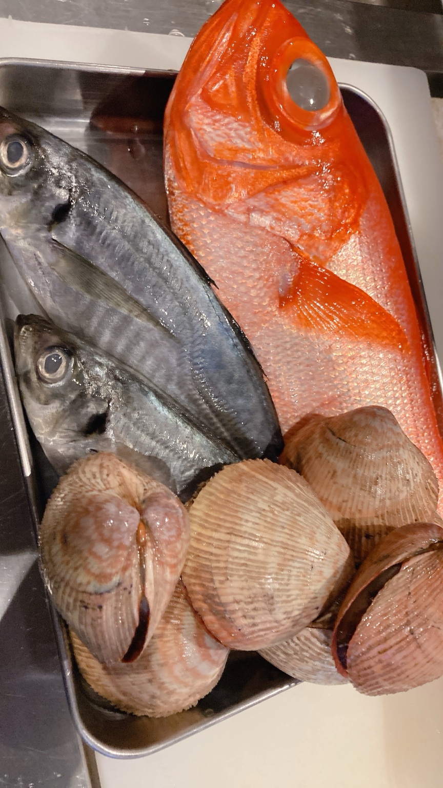 鮮魚と貝類